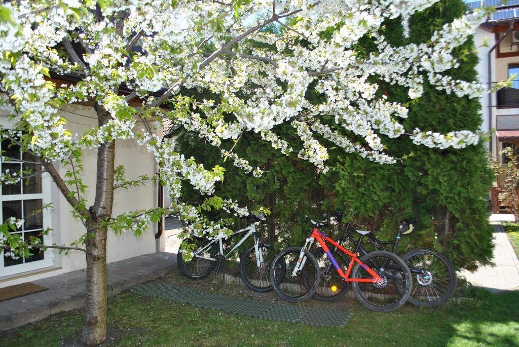 Apartament Alpha Apartamento Bistriţa Exterior foto